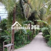 Bán Lô Đất Đẹp Mặt Tiền Đường An Sơn 32 – Gần Quanh Đai 3 – Chỉ 9,2 Triệu/M²